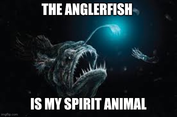 THE ANGLERFISH; IS MY SPIRIT ANIMAL | image tagged in anglerfish | made w/ Imgflip meme maker