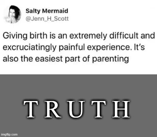 Being a parent is not easy these days . . . | T R U T H | image tagged in fun,funny,parenting,one does not simply,hard work,truth | made w/ Imgflip meme maker