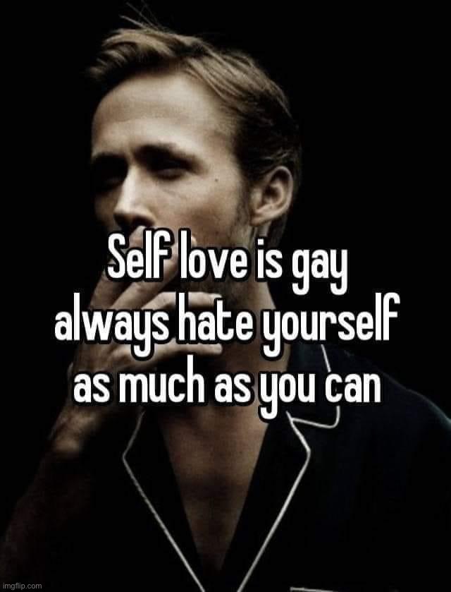 Self love is gay literally | image tagged in self love is gay,self,love,is,gay,true | made w/ Imgflip meme maker