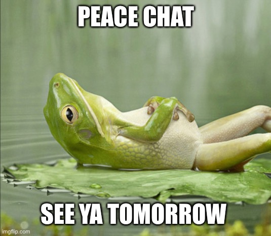 Gn | PEACE CHAT; SEE YA TOMORROW | image tagged in frog good night | made w/ Imgflip meme maker