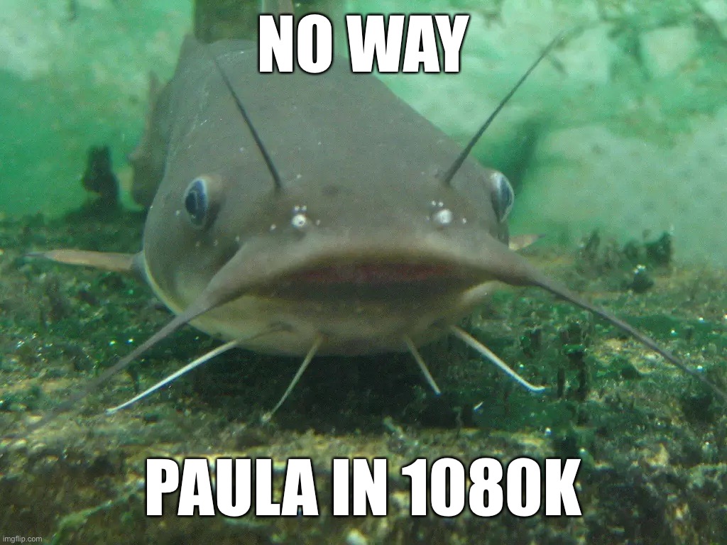 The fish | NO WAY; PAULA IN 1080K | image tagged in catfish | made w/ Imgflip meme maker