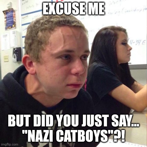 angery boi | EXCUSE ME BUT DID YOU JUST SAY...
"NAZI CATBOYS"?! | image tagged in angery boi | made w/ Imgflip meme maker