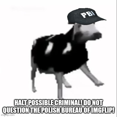 If the polish cow joined the FBI | HALT POSSIBLE CRIMINAL! DO NOT QUESTION THE POLISH BUREAU OF IMGFLIP! | image tagged in dancing polish cow,scars favorite,cow | made w/ Imgflip meme maker