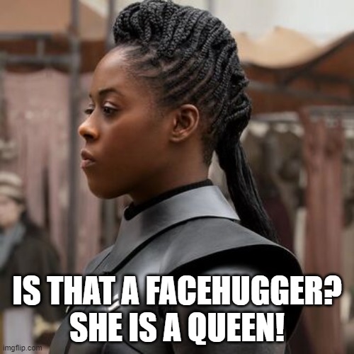 3rd Queen | IS THAT A FACEHUGGER?
SHE IS A QUEEN! | image tagged in 3rd sister | made w/ Imgflip meme maker