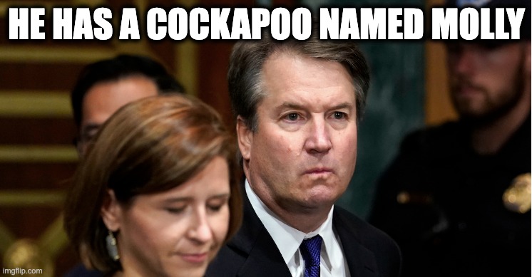 HE HAS A COCKAPOO NAMED MOLLY | image tagged in memes,kavanaugh,beer,scotus,cockapoos,abortion rights | made w/ Imgflip meme maker