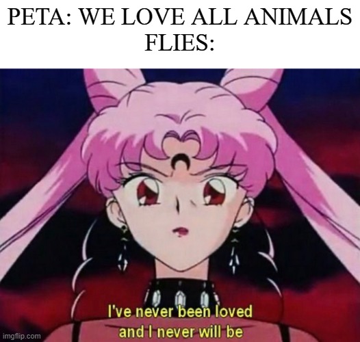 Random 2022 Peta Meme |  PETA: WE LOVE ALL ANIMALS
FLIES: | image tagged in sailor moon,love,flies,goth memes,goth,funny memes | made w/ Imgflip meme maker
