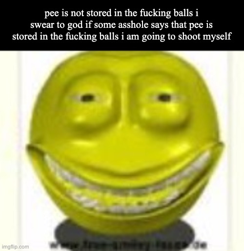 funni high face | pee is not stored in the fucking balls i swear to god if some asshole says that pee is stored in the fucking balls i am going to shoot myself | image tagged in funni high face | made w/ Imgflip meme maker