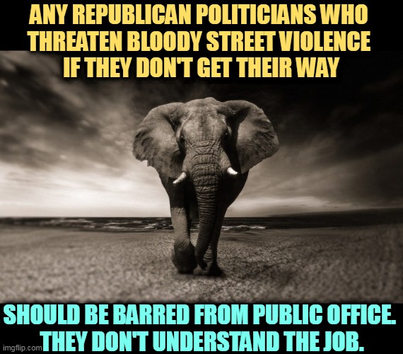 ANY REPUBLICAN POLITICIANS WHO 
THREATEN BLOODY STREET VIOLENCE 
IF THEY DON'T GET THEIR WAY; SHOULD BE BARRED FROM PUBLIC OFFICE. 
THEY DON'T UNDERSTAND THE JOB. | image tagged in republicans,threats,bloody,street,violence | made w/ Imgflip meme maker