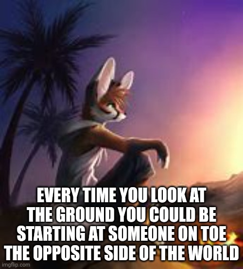 EVERY TIME YOU LOOK AT THE GROUND YOU COULD BE STARTING AT SOMEONE ON TOE THE OPPOSITE SIDE OF THE WORLD | made w/ Imgflip meme maker