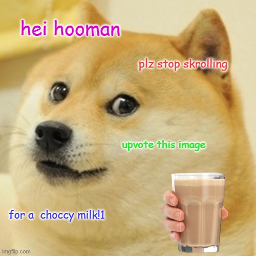 Doge | hei hooman; plz stop skrolling; upvote this image; for a  choccy milk!1 | image tagged in memes,doge | made w/ Imgflip meme maker