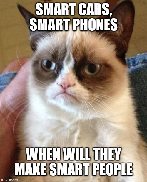 depressing |  SMART CARS, SMART PHONES; WHEN WILL THEY MAKE SMART PEOPLE | image tagged in memes,grumpy cat,smart,fun | made w/ Imgflip meme maker