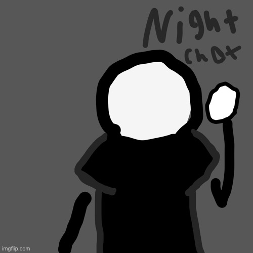 it’s like past midnight i should sleep | image tagged in shady night chat | made w/ Imgflip meme maker