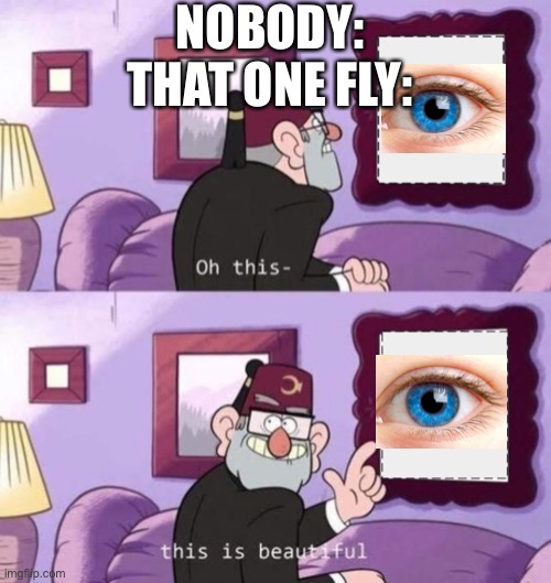 That one fly is so annoying | NOBODY:
THAT ONE FLY: | image tagged in stan,eye | made w/ Imgflip meme maker