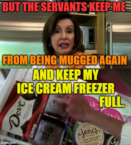 BUT THE SERVANTS KEEP ME FROM BEING MUGGED AGAIN AND KEEP MY ICE CREAM FREEZER FULL. | made w/ Imgflip meme maker