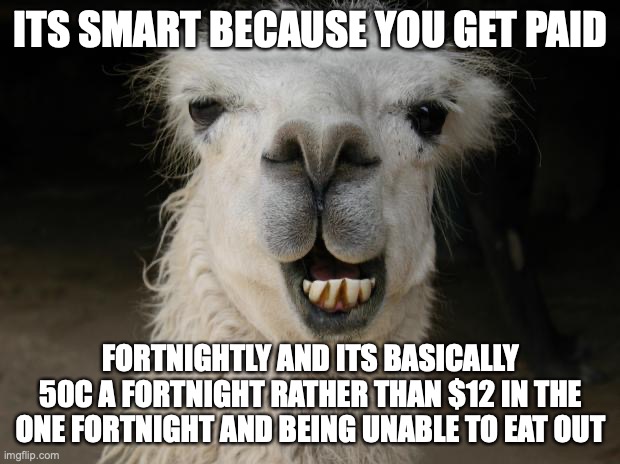 Because Llama | ITS SMART BECAUSE YOU GET PAID FORTNIGHTLY AND ITS BASICALLY 50C A FORTNIGHT RATHER THAN $12 IN THE ONE FORTNIGHT AND BEING UNABLE TO EAT OU | image tagged in because llama | made w/ Imgflip meme maker