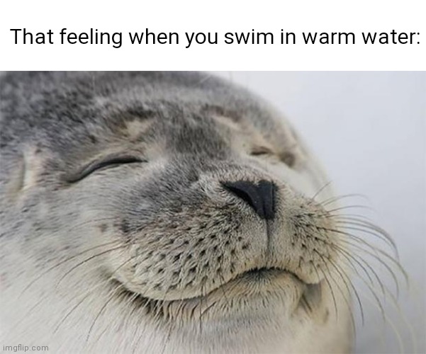 Swimming pool warm water |  That feeling when you swim in warm water: | image tagged in memes,satisfied seal,swimming,swimming pool,warm,water | made w/ Imgflip meme maker