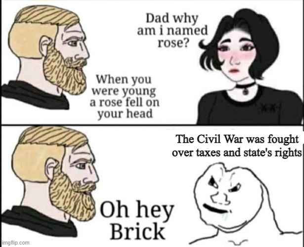 Oh hey brick | The Civil War was fought over taxes and state's rights | image tagged in oh hey brick | made w/ Imgflip meme maker