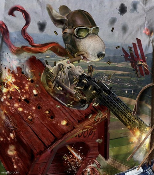 This pic goes hard | image tagged in snoopy and the red baron | made w/ Imgflip meme maker