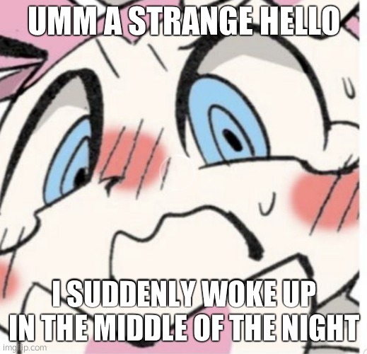Sylveon Blushing | UMM A STRANGE HELLO; I SUDDENLY WOKE UP IN THE MIDDLE OF THE NIGHT | image tagged in sylveon blushing | made w/ Imgflip meme maker