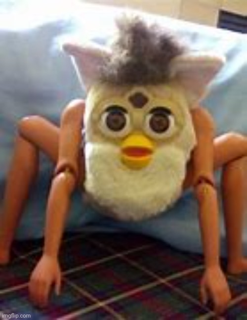 Its furbin time | made w/ Imgflip meme maker