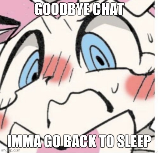 Sylveon Blushing | GOODBYE CHAT; IMMA GO BACK TO SLEEP | image tagged in sylveon blushing | made w/ Imgflip meme maker