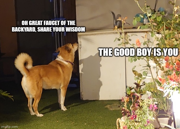 Good boy | OH GREAT FAUCET OF THE BACKYARD, SHARE YOUR WISDOM; THE GOOD BOY IS YOU | image tagged in faucet of the backyard share your wisdom,dog,funny,memes,fun,good boy | made w/ Imgflip meme maker
