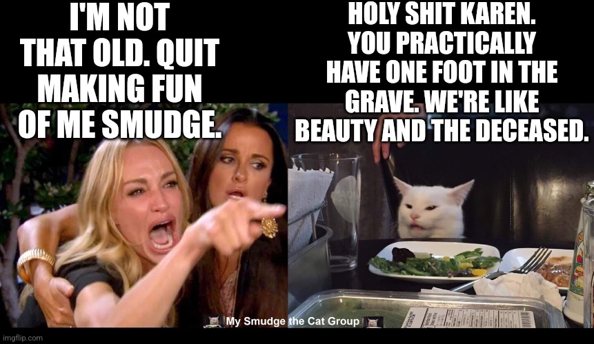 I'M NOT THAT OLD. QUIT MAKING FUN OF ME SMUDGE. HOLY SHIT KAREN. YOU PRACTICALLY HAVE ONE FOOT IN THE GRAVE. WE'RE LIKE BEAUTY AND THE DECEASED. | image tagged in smudge the cat,woman yelling at cat,funny memes | made w/ Imgflip meme maker