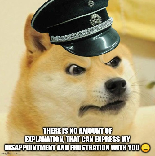 Confused Angery Doge | THERE IS NO AMOUNT OF EXPLANATION, THAT CAN EXPRESS MY DISAPPOINTMENT AND FRUSTRATION WITH YOU ? | image tagged in confused angery doge | made w/ Imgflip meme maker