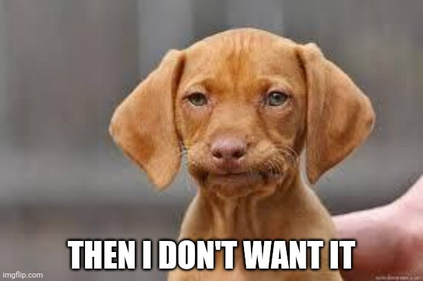 Disappointed Dog | THEN I DON'T WANT IT | image tagged in disappointed dog | made w/ Imgflip meme maker