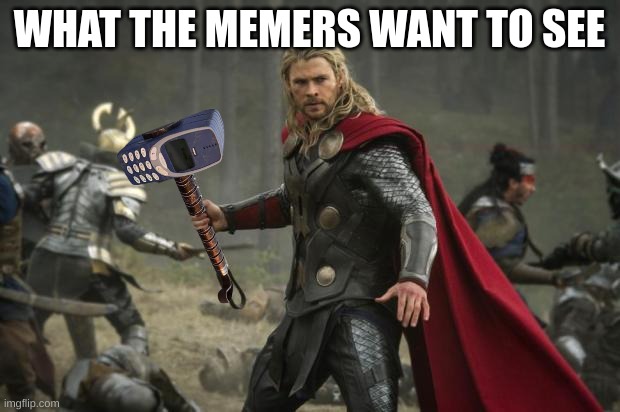 the power of memes and photoshop flows tru his vains | WHAT THE MEMERS WANT TO SEE | image tagged in thor hammer | made w/ Imgflip meme maker