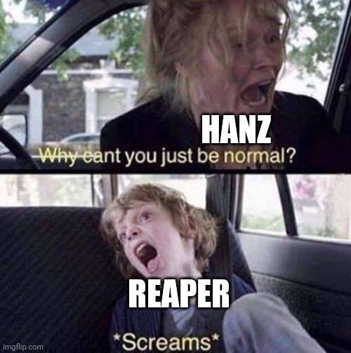 Why Can't You Just Be Normal | HANZ REAPER | image tagged in why can't you just be normal | made w/ Imgflip meme maker