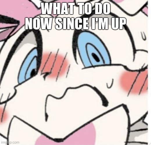 Sylveon Blushing | WHAT TO DO NOW SINCE I'M UP | image tagged in sylveon blushing | made w/ Imgflip meme maker