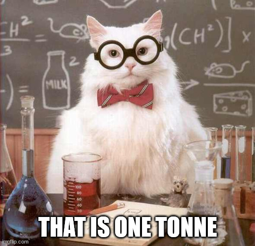 cat scientist | THAT IS ONE TONNE | image tagged in cat scientist | made w/ Imgflip meme maker