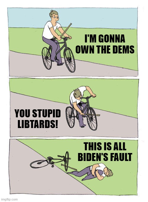 OWN THE LIBS | I'M GONNA OWN THE DEMS; YOU STUPID LIBTARDS! THIS IS ALL BIDEN'S FAULT | image tagged in owned,liberals,libtards,biden,but that's not my fault,bds | made w/ Imgflip meme maker
