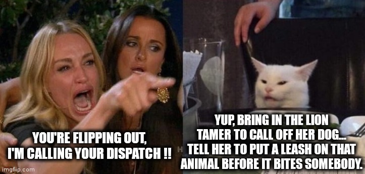 Woman Yelling at Smudge the Cat | YUP, BRING IN THE LION TAMER TO CALL OFF HER DOG...
TELL HER TO PUT A LEASH ON THAT ANIMAL BEFORE IT BITES SOMEBODY. YOU'RE FLIPPING OUT, I'M CALLING YOUR DISPATCH !! | image tagged in woman yelling at smudge the cat | made w/ Imgflip meme maker