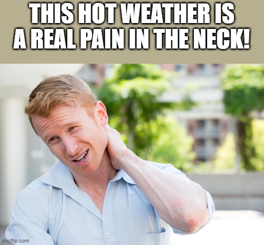 This Hot Weather Is A Pain In The Neck - Imgflip