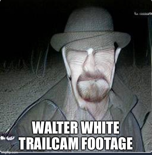 WALTER WHITE SPOTTED AT 3AM *SCARY FOOTAGE* | WALTER WHITE TRAILCAM FOOTAGE | image tagged in breaking bad,trail cam footage,3am | made w/ Imgflip meme maker