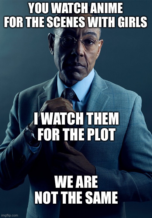 Why did I make this | YOU WATCH ANIME FOR THE SCENES WITH GIRLS; I WATCH THEM FOR THE PLOT; WE ARE NOT THE SAME | image tagged in gus fring we are not the same | made w/ Imgflip meme maker