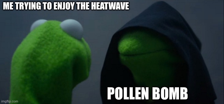 Hayfever Kermit | ME TRYING TO ENJOY THE HEATWAVE; POLLEN BOMB | image tagged in memes,evil kermit | made w/ Imgflip meme maker