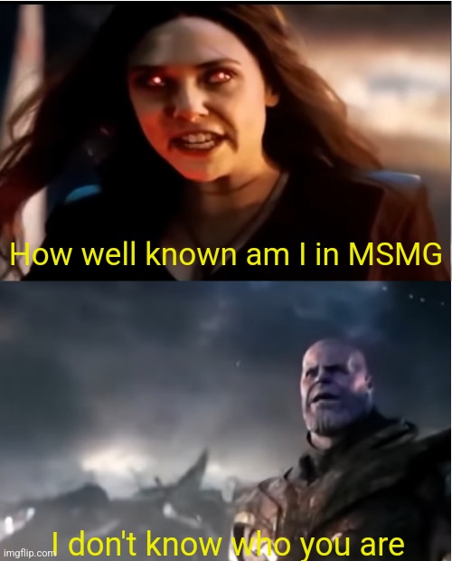 Thanos I don't even know who you are | How well known am I in MSMG I don't know who you are | image tagged in thanos i don't even know who you are | made w/ Imgflip meme maker