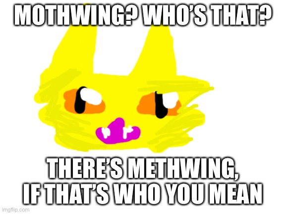 Mothwing wasn’t the same after drugs | MOTHWING? WHO’S THAT? THERE’S METHWING, IF THAT’S WHO YOU MEAN | image tagged in blank white template,warrior cats,meth | made w/ Imgflip meme maker