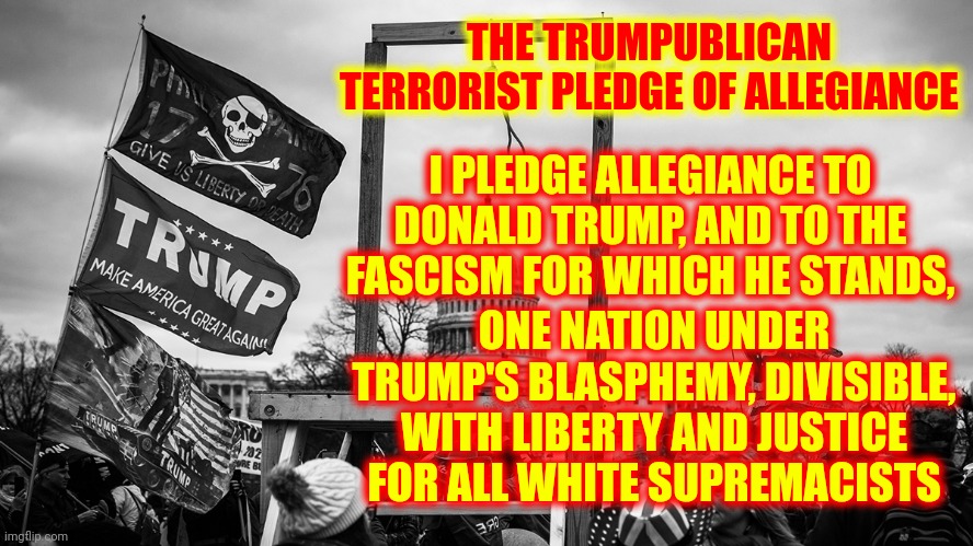 Donald Trump AND His Trumpublican Terrorists Have Already Destroyed The United States | THE TRUMPUBLICAN TERRORIST PLEDGE OF ALLEGIANCE; I PLEDGE ALLEGIANCE TO DONALD TRUMP, AND TO THE FASCISM FOR WHICH HE STANDS, ONE NATION UNDER TRUMP'S BLASPHEMY, DIVISIBLE, WITH LIBERTY AND JUSTICE FOR ALL WHITE SUPREMACISTS | image tagged in noose at the capitol,lock him up,death penalty,sore loser,liar,memes | made w/ Imgflip meme maker