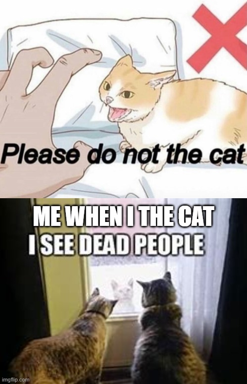 Me when I the cat | ME WHEN I THE CAT | image tagged in please do not the cat | made w/ Imgflip meme maker