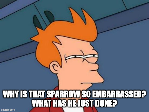 Futurama Fry Meme | WHY IS THAT SPARROW SO EMBARRASSED?
WHAT HAS HE JUST DONE? | image tagged in memes,futurama fry | made w/ Imgflip meme maker