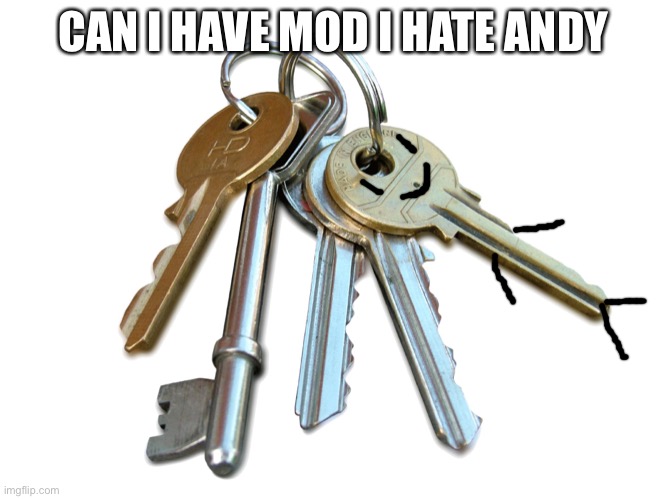 Plz | CAN I HAVE MOD I HATE ANDY | image tagged in keys | made w/ Imgflip meme maker