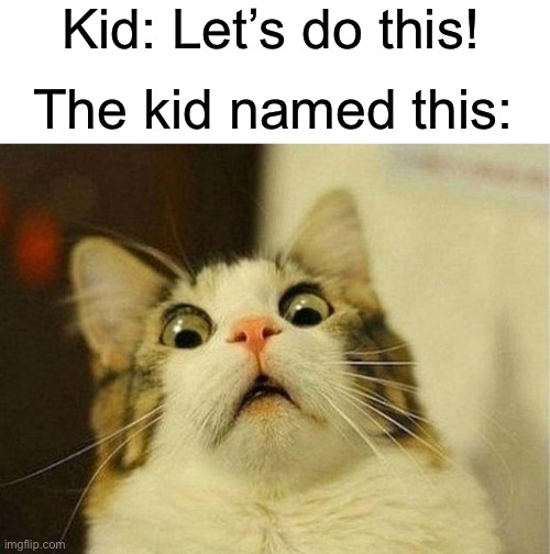 Well, he’s screwed | Kid: Let’s do this! The kid named this: | image tagged in memes,scared cat | made w/ Imgflip meme maker