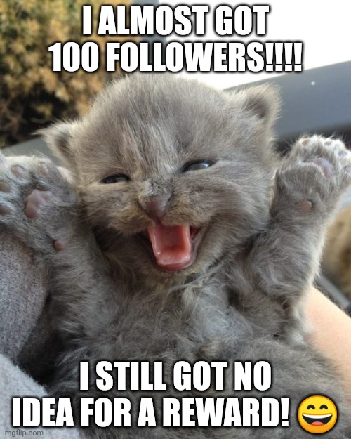 Yay Kitty | I ALMOST GOT 100 FOLLOWERS!!!! I STILL GOT NO IDEA FOR A REWARD! 😄 | image tagged in yay kitty | made w/ Imgflip meme maker