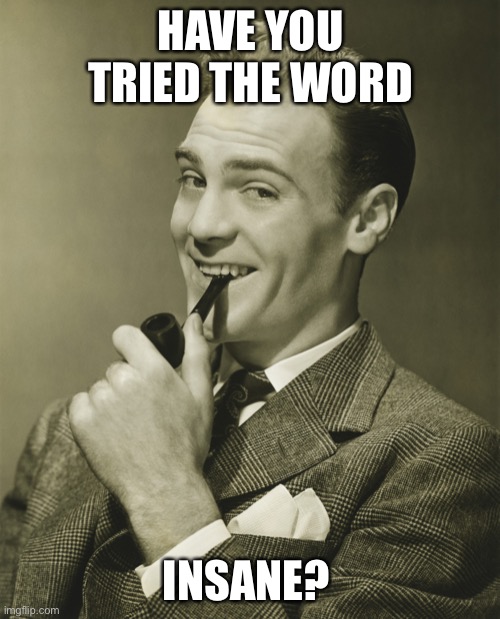 Smug | HAVE YOU TRIED THE WORD INSANE? | image tagged in smug | made w/ Imgflip meme maker