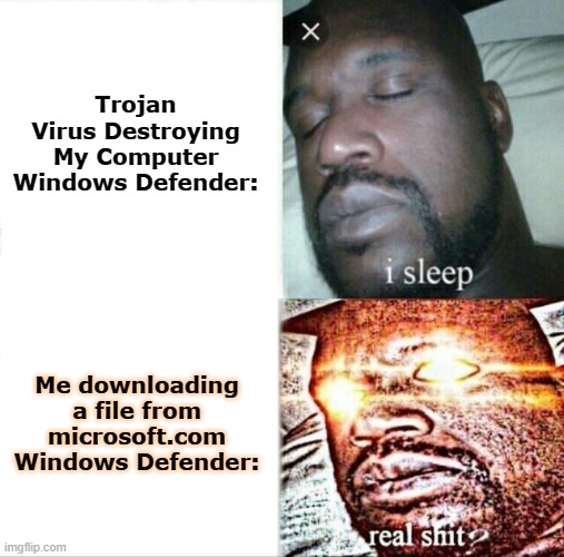 My Computer | Trojan Virus Destroying My Computer

Windows Defender:; Me downloading a file from microsoft.com
Windows Defender: | image tagged in memes,sleeping shaq | made w/ Imgflip meme maker