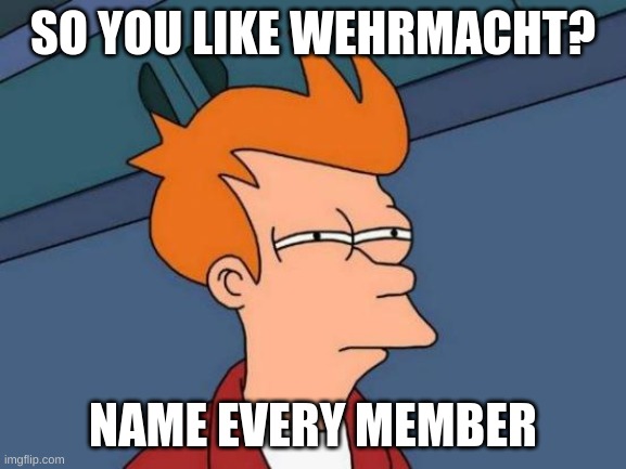 Futurama Fry Meme | SO YOU LIKE WEHRMACHT? NAME EVERY MEMBER | image tagged in memes,futurama fry | made w/ Imgflip meme maker